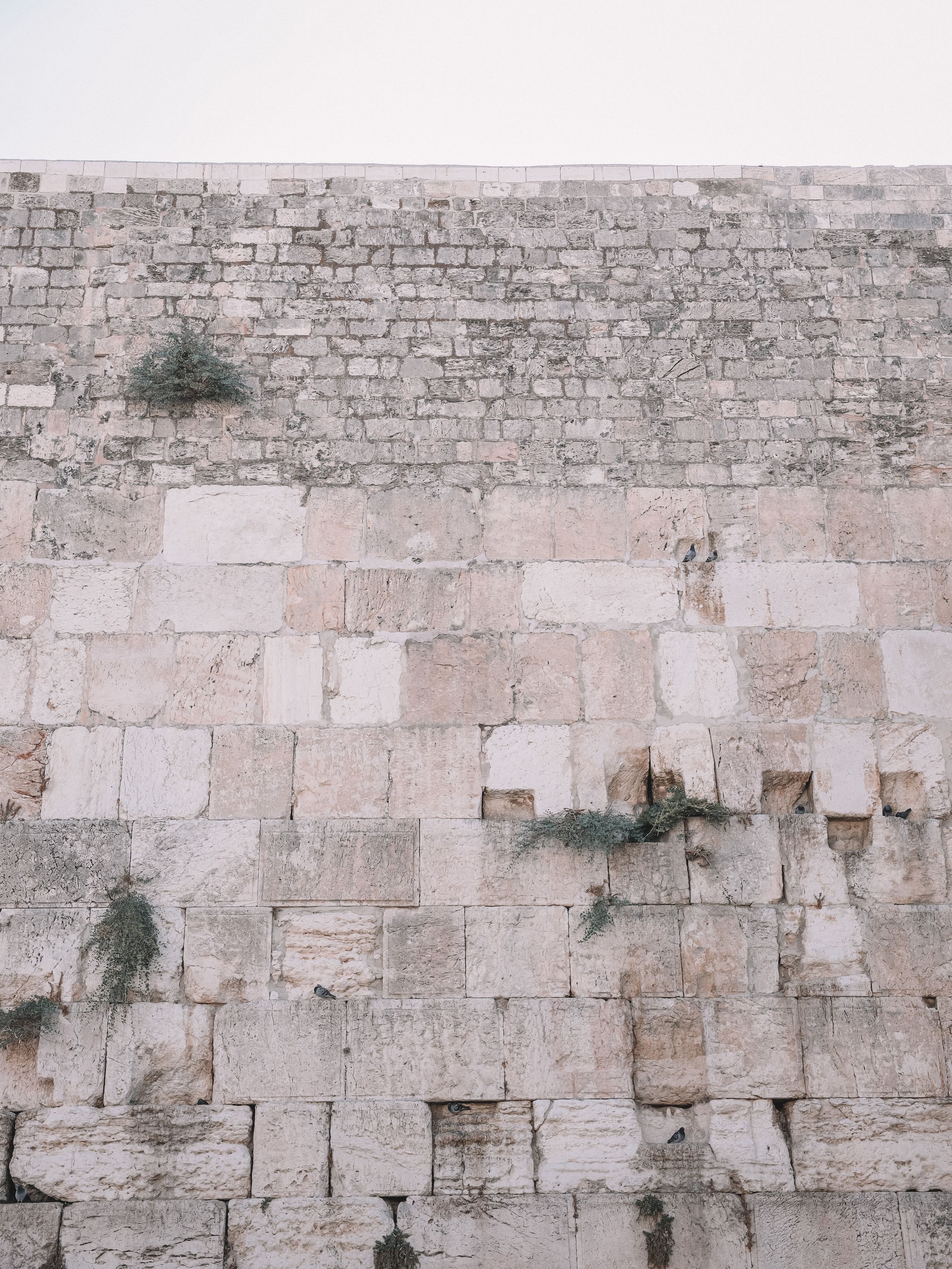 Le mur des lamentations vu de face - Vieille Ville - Jérusalem - Israël