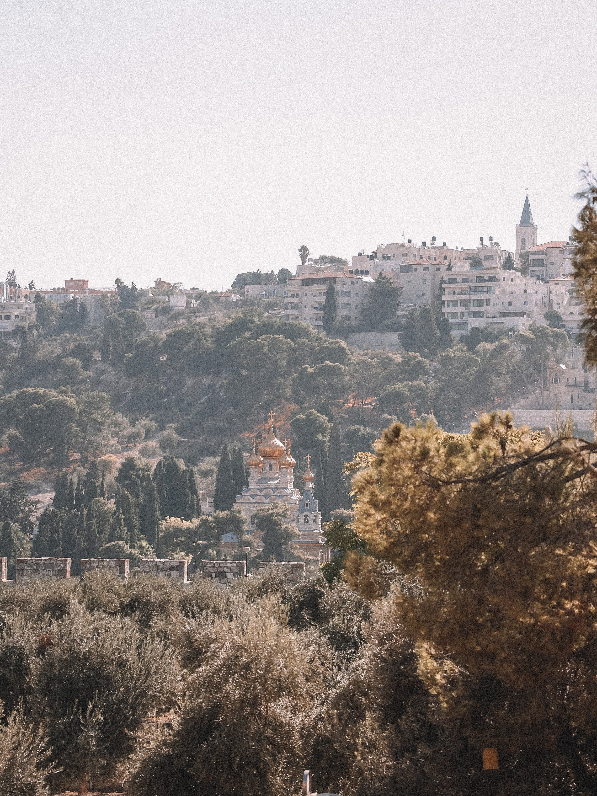 L'église Marie-Madeleine et sa verdure - Vieille Ville - Jérusalem - Israël