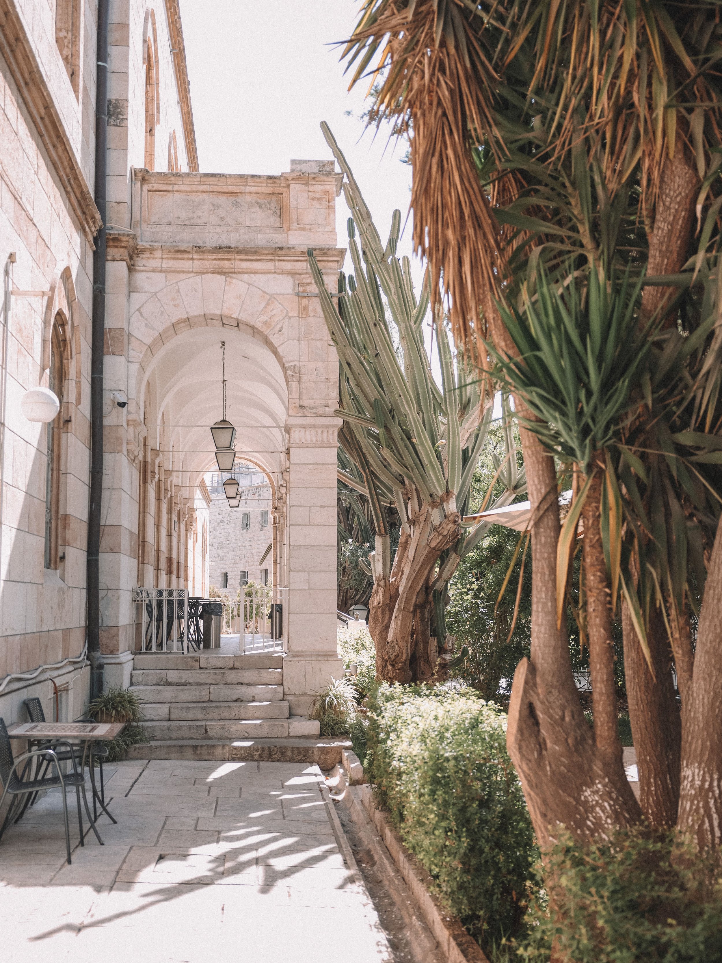 Le jardin de l'hospice autrichien - Vieille Ville - Jérusalem - Israël