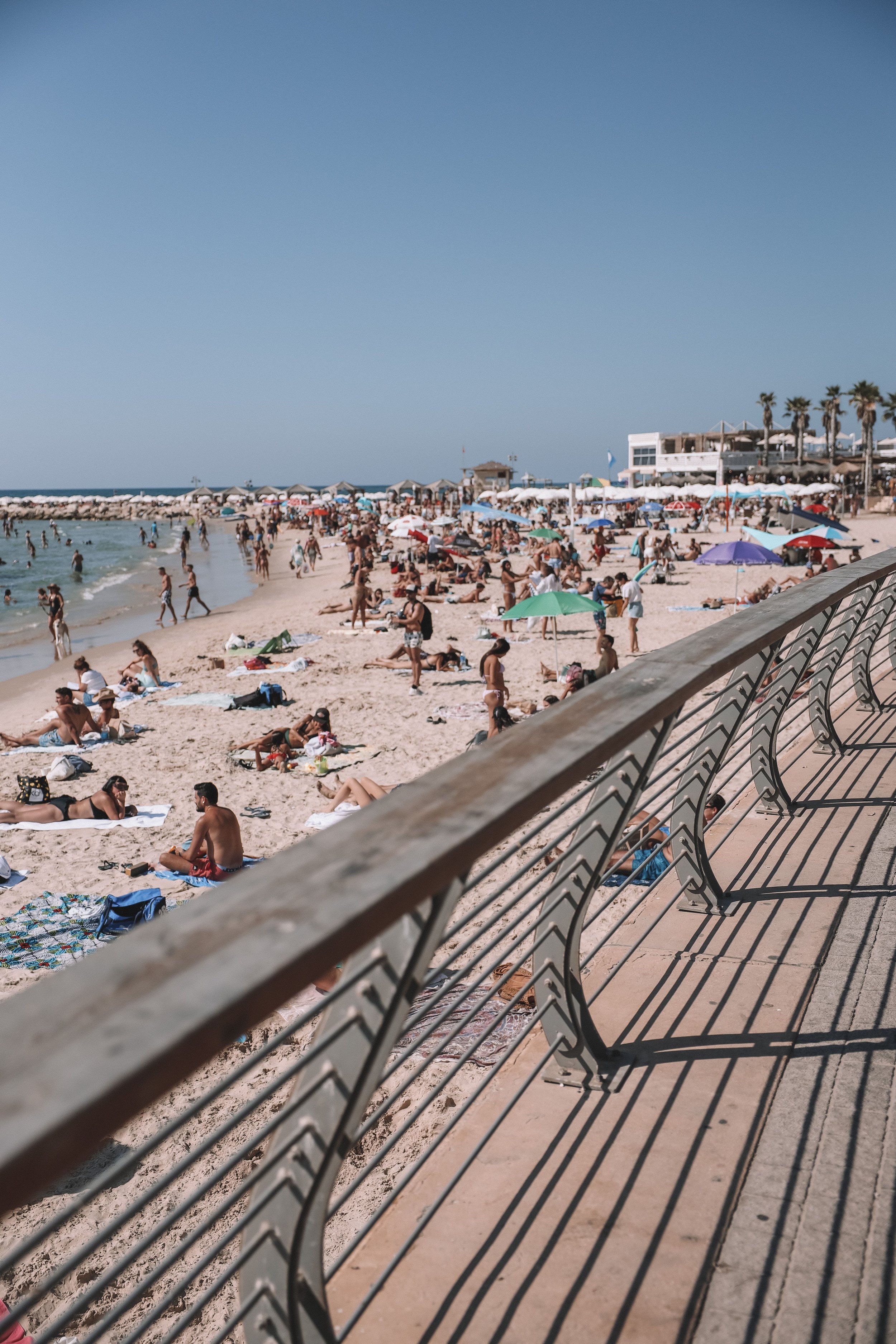 La promenade en bord de mer - Tel Aviv - Israël