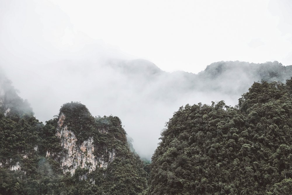 Foggy morning in the mountains - Khao Sok National Park - Thailand