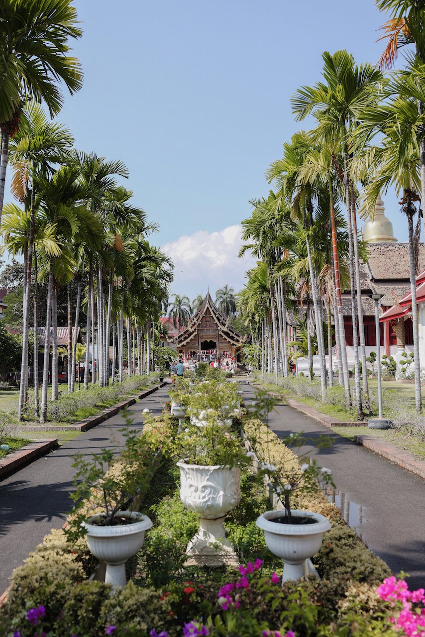 The beautiful gardens - Wat Phra Singh - Chiang Mai - Northern Thailand