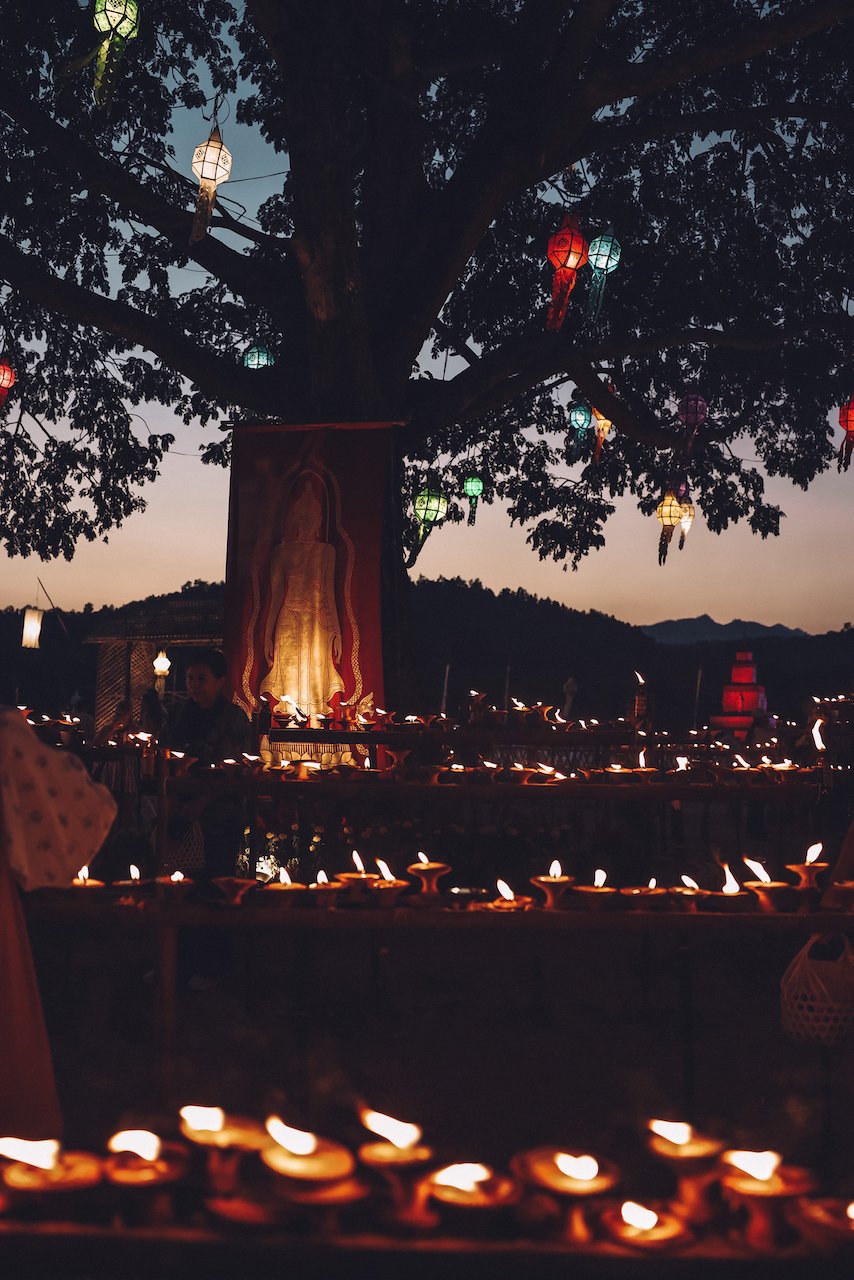 Gros arbre entouré de lampions - Yi Peng 2022 - CAD Cultural Center - Chiang Mai - Nord de la Thaïlande