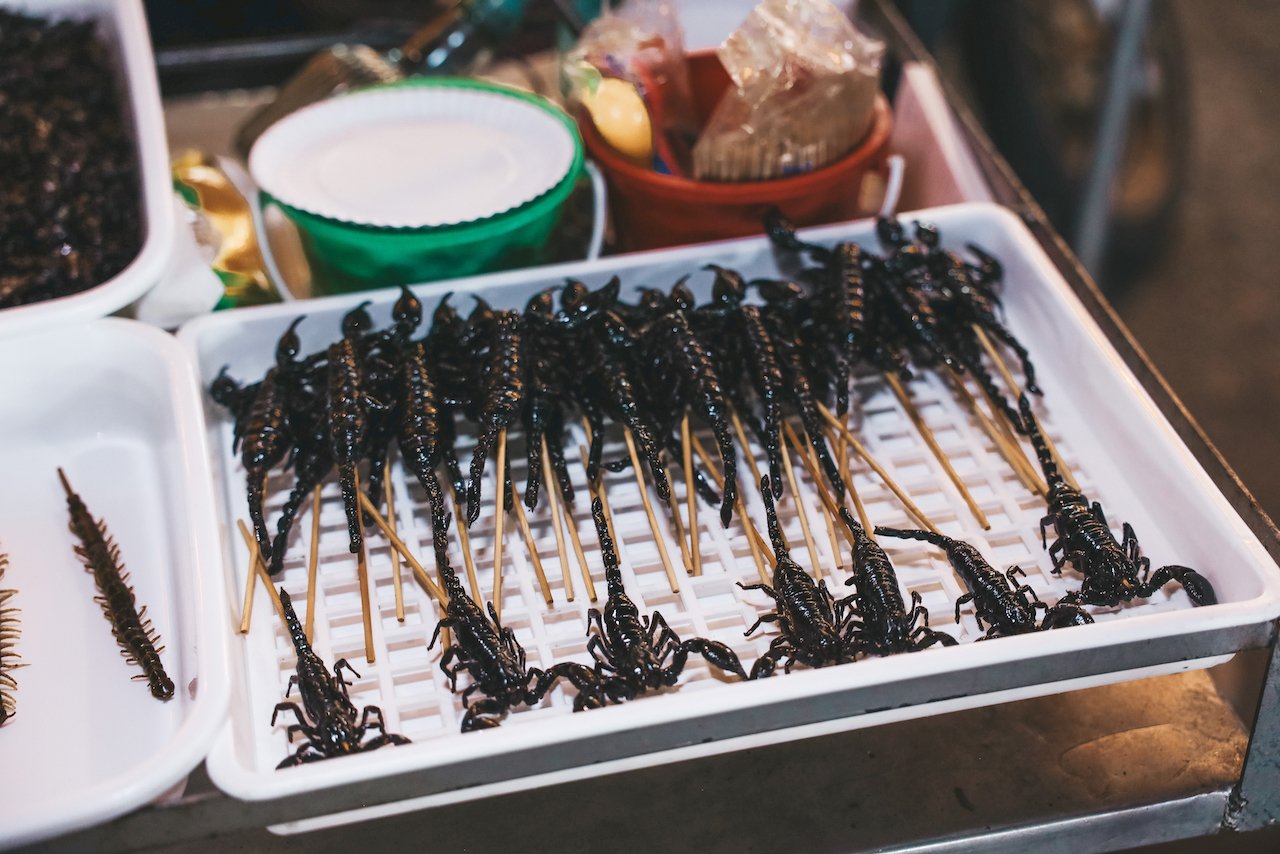Des scorpions frits - Bangkok - Thaïlande