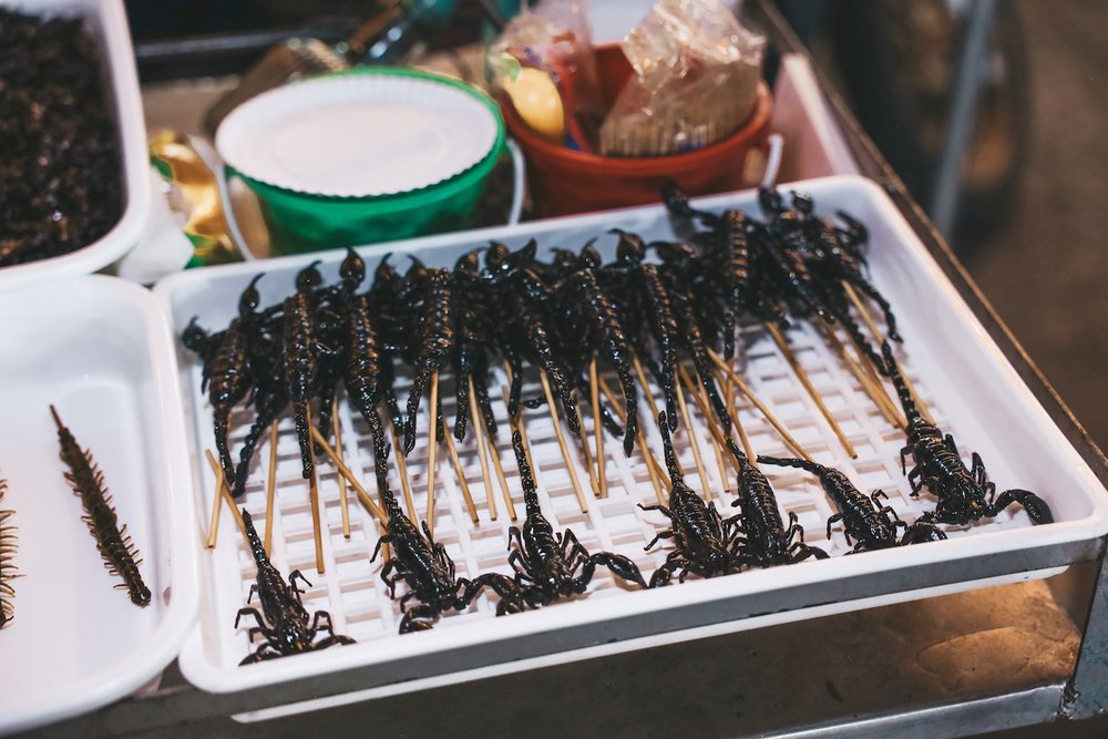 Fried scorpions - Khao San Road - Bangkok - Thailand