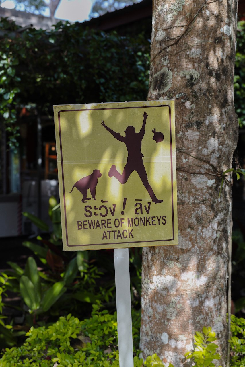 Attention aux singes panneau - Parc national de Khao Yai - Thaïlande