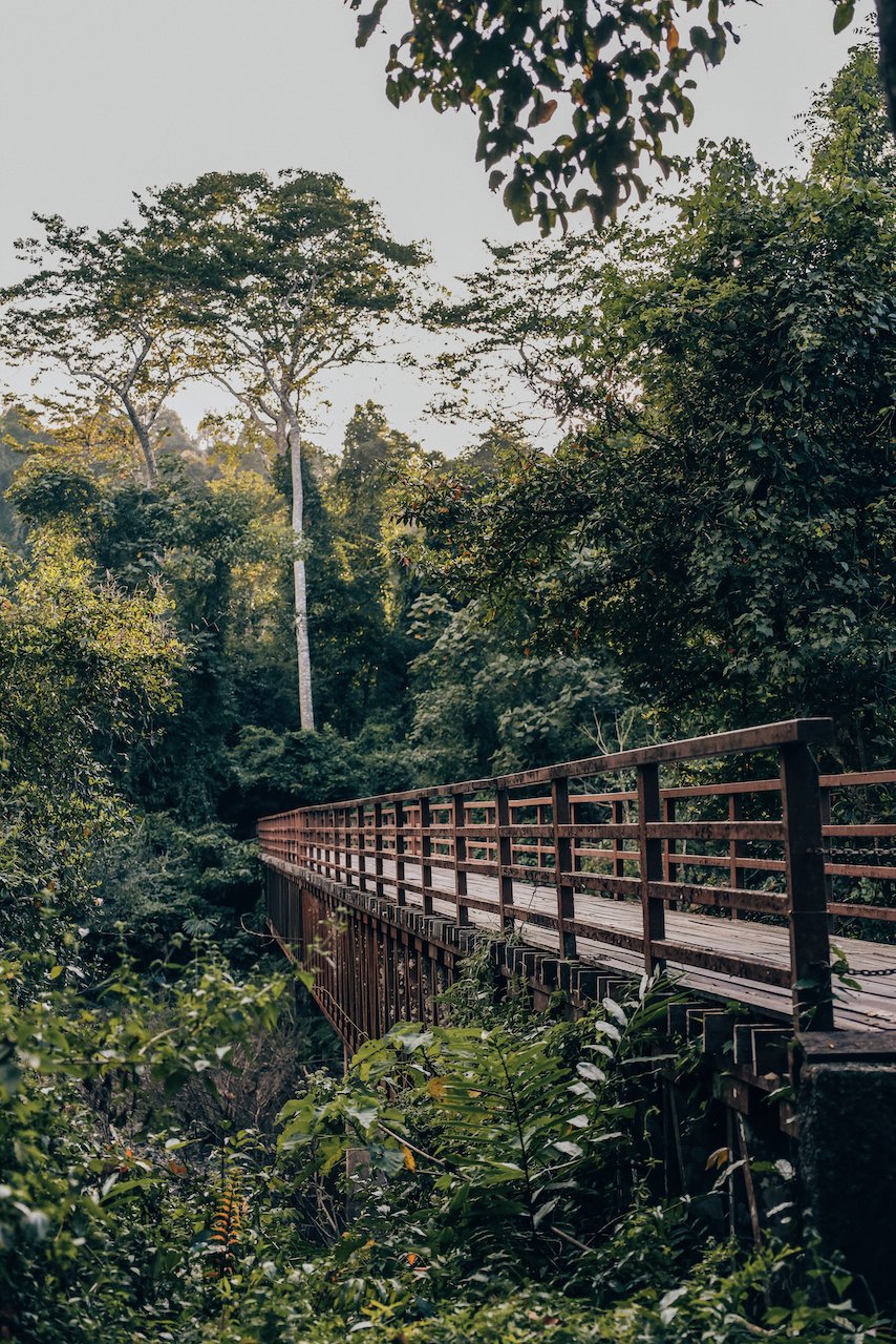 Le pont menant à la cascade de Kaew Narok Falls - Parc national de Khao Yai - Thaïlande