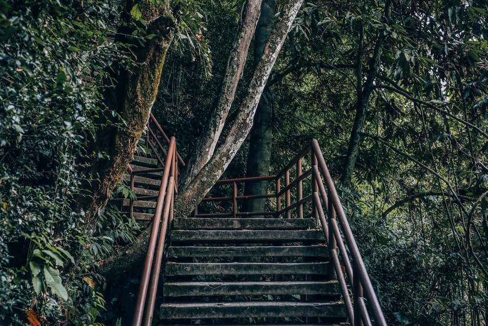 The staircase down to Haew Narok Waterfall - Khao Yai National Park - Thailand
