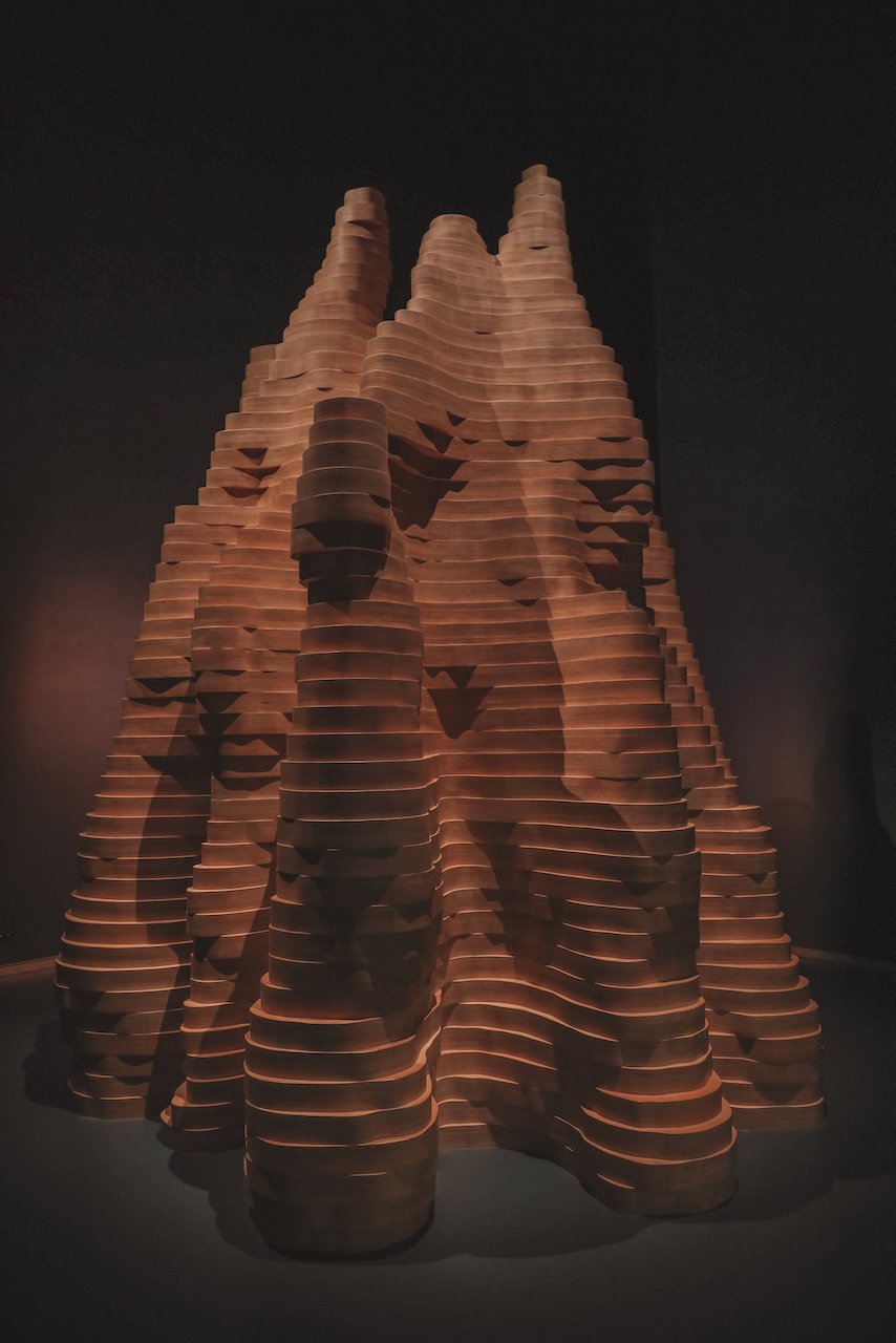 Un nid de termites - Musée national de l'Australie - Canberra - Territoire de la capitale australienne (ACT) - Australie