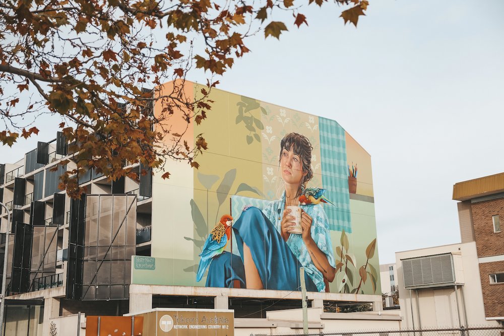 Woman feeding lorikeets graffiti - Lonsdale Street - Canberra - Australian Capital Territory - Australia