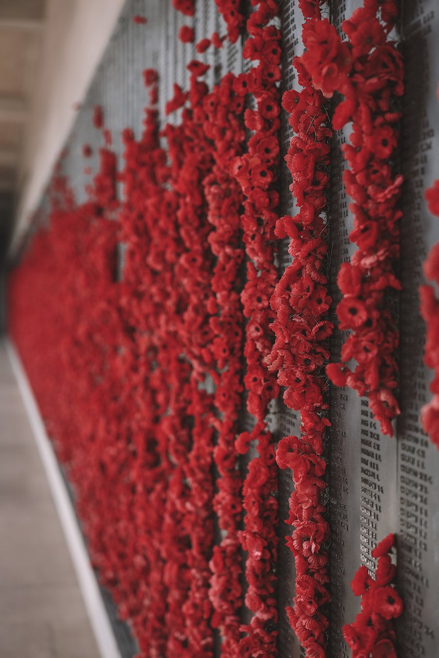 Closeup on the poppies - Roll of Honour - Australian War Memorial - Canberra - Australian Capital Territory - Australia