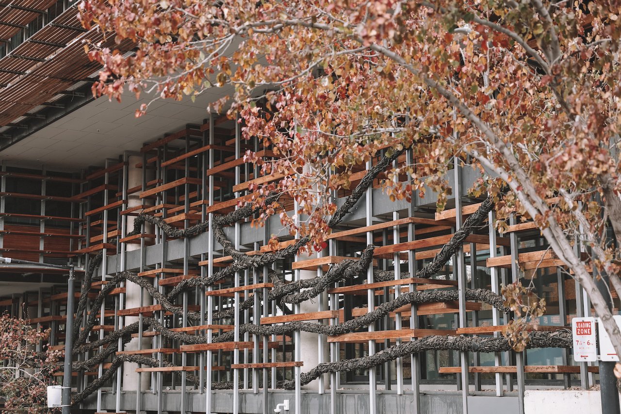 Structure ressemblant à un arbre enveloppant l'immeuble - Hôtel Nishi Ovolo - Canberra - Territoire de la capitale australienne (ACT) - Australie