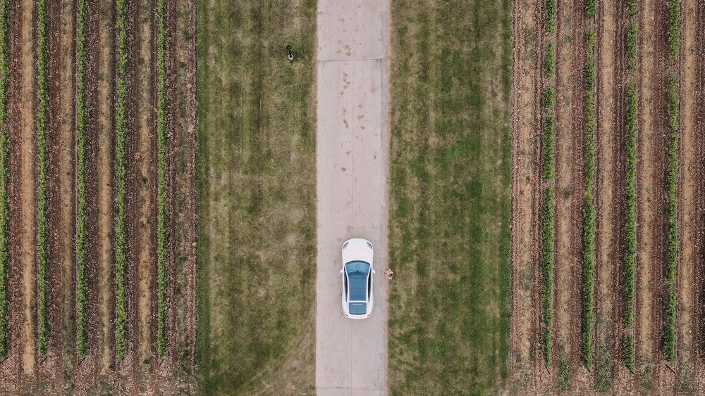 Drone view of the vineyard - Château des Charmes - Niagara-On-The-Lake - Ontario - Canada