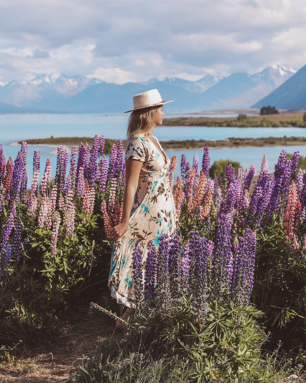 Woman wandering around the lupine flowers at Lake Tekapo - New Zealand