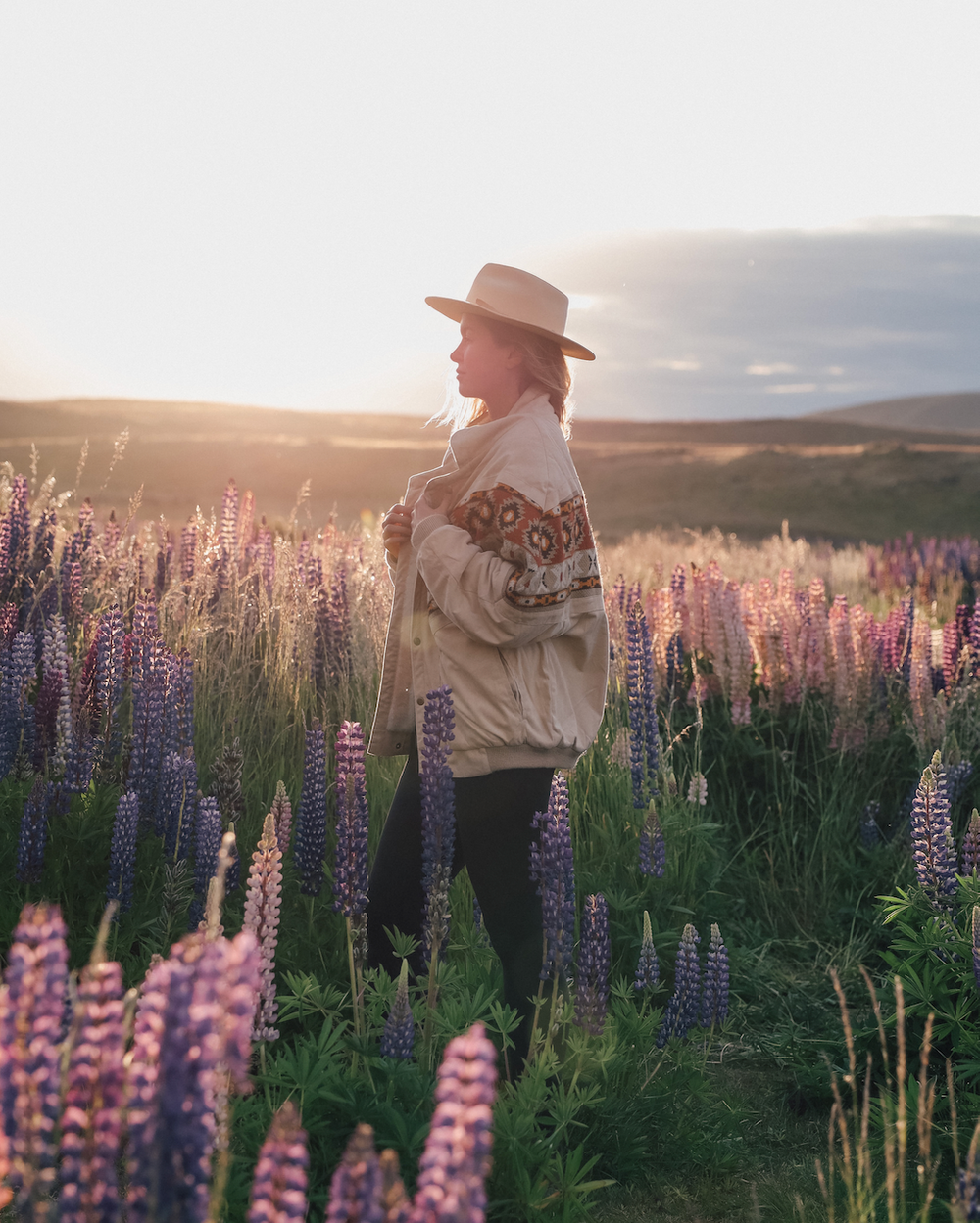 Woman in wild lupine field during golden hour - Lake Tekapo - New Zealand