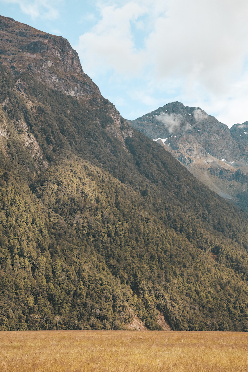 Beautiful nature near Te Anau - Milford Sound Day Trip - New Zealand