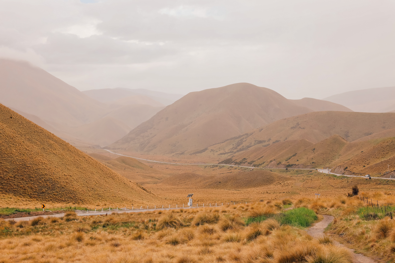 Yellow colours of Lindis Pass - New Zealand