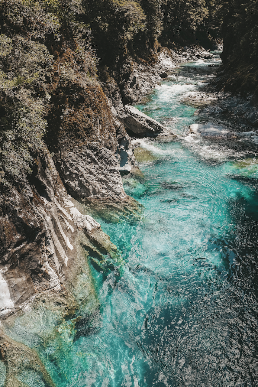 Water from the glaciers - Blue Pools - Makarora River - New Zealand