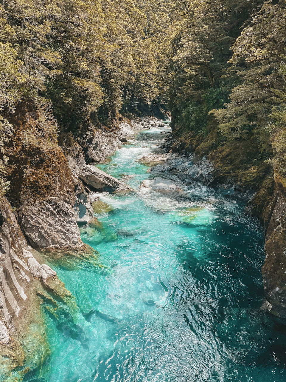 Crystal clear blue waters - Blue Pools - Makarora River - New Zealand