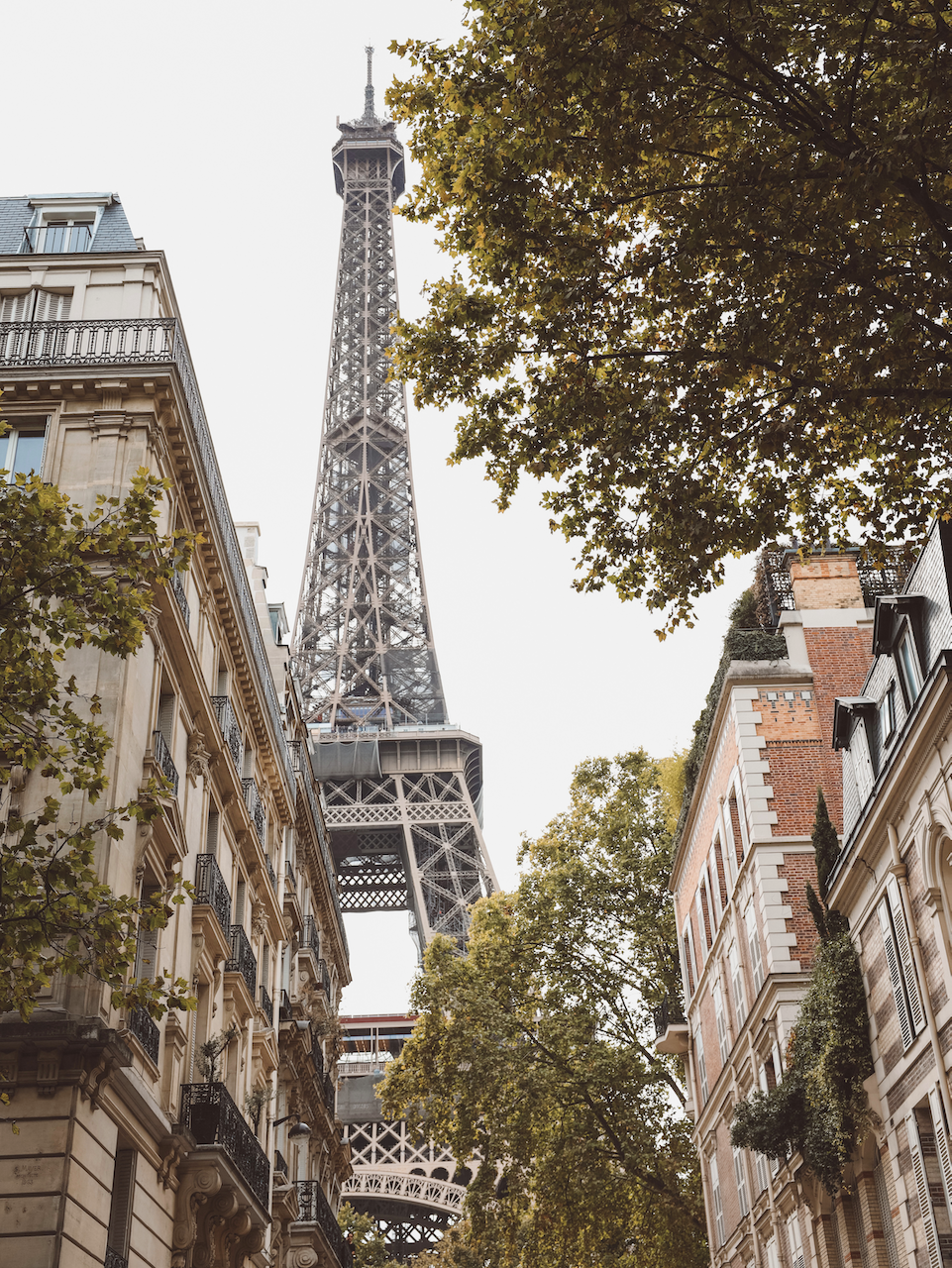 La tour Eiffel vue depuis la rue de l'Université - Paris - France