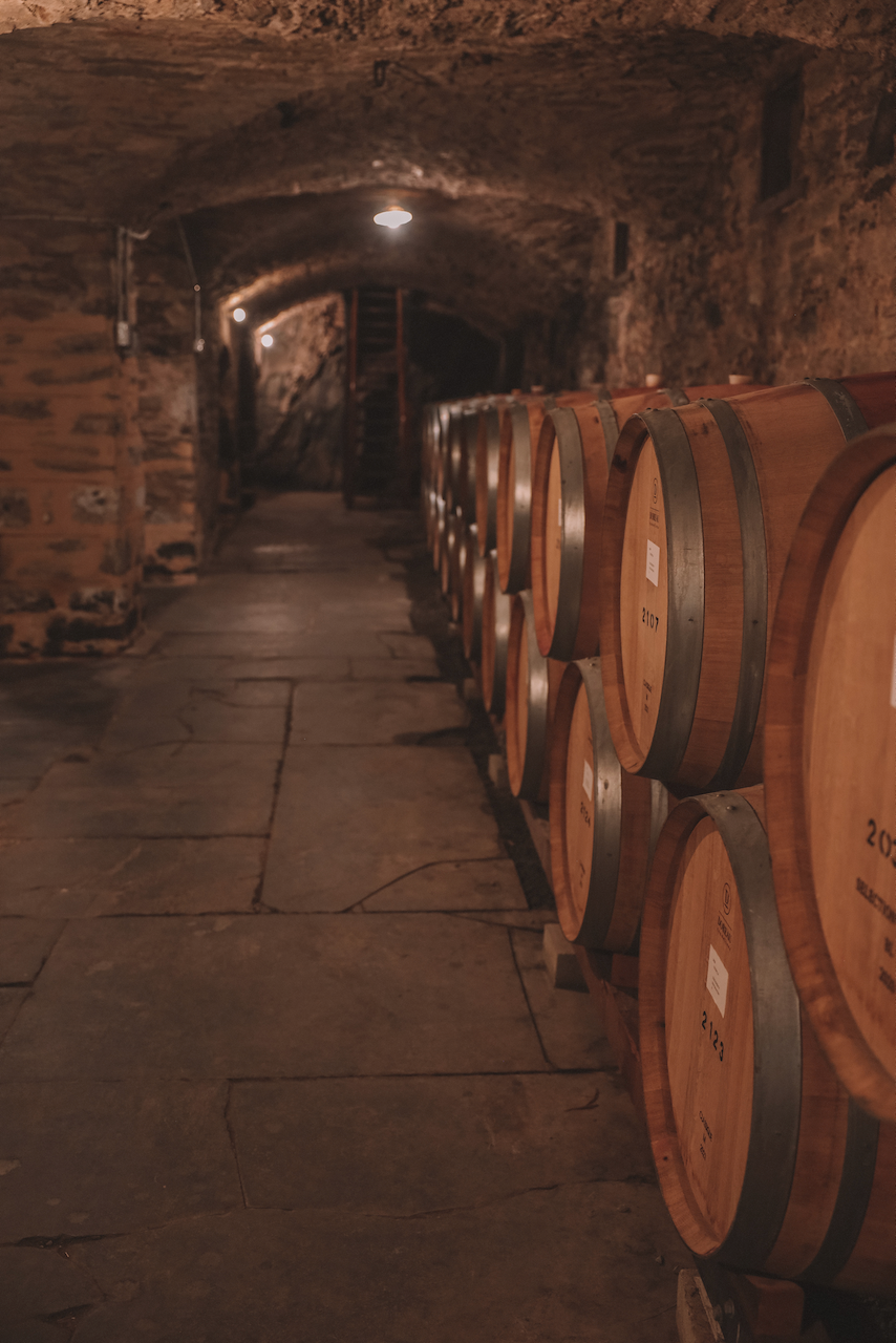 The barrels in the cellar - Sevenhill Wines - Clare Valley - South Australia (SA) - Australia