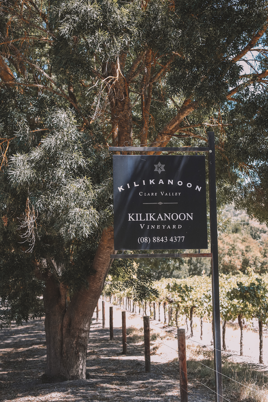 Entrée de chez Kilikanoon - Clare Valley - South Australia (SA) - Australie