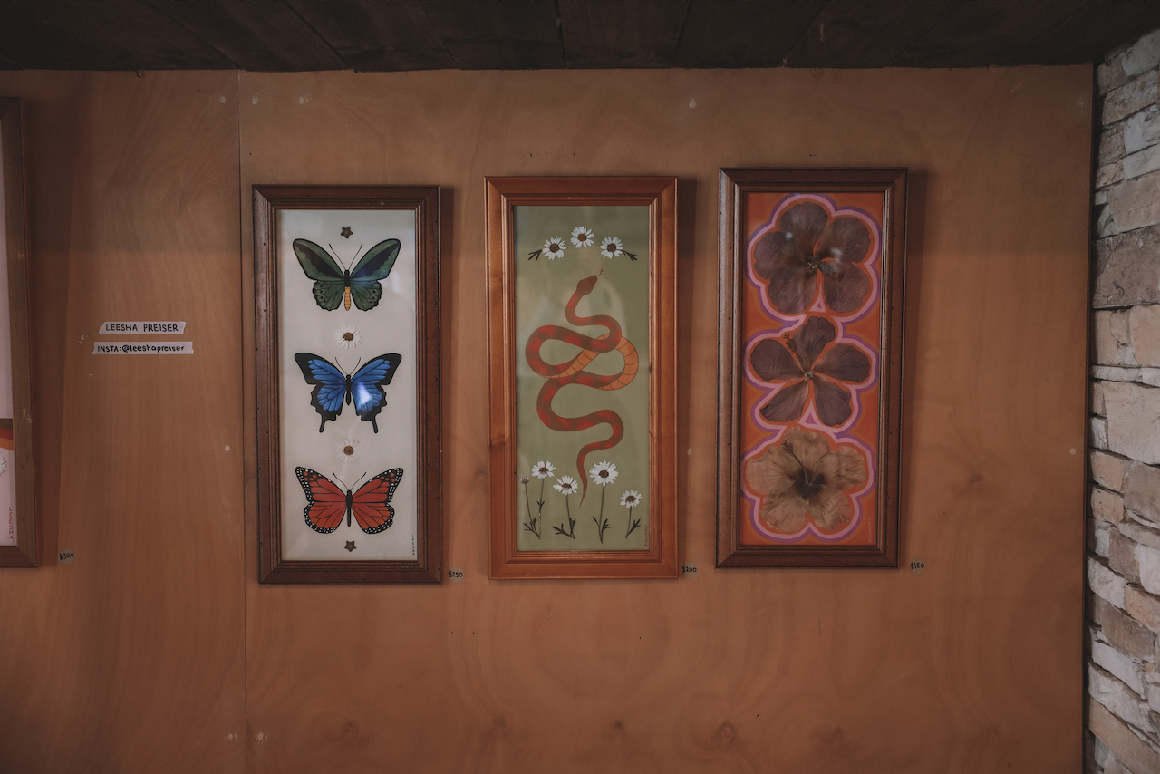 Butterflies, snakes and flowers frames at Goodness Coffee Co - McLaren Vale - South Australia (SA) - Australia