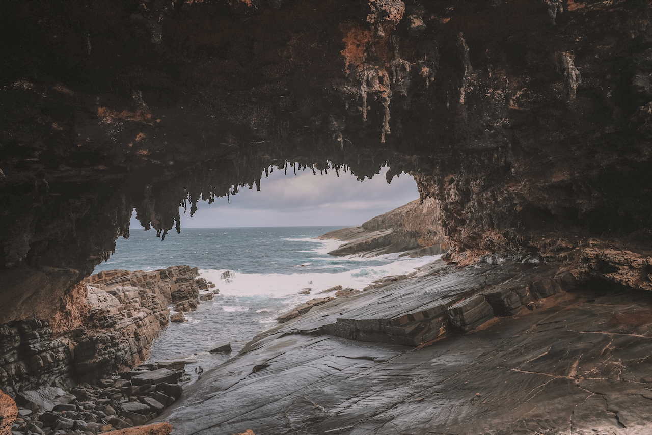 La grotte de Admirals Arch - Kangaroo Island - South Australia (SA) - Australie
