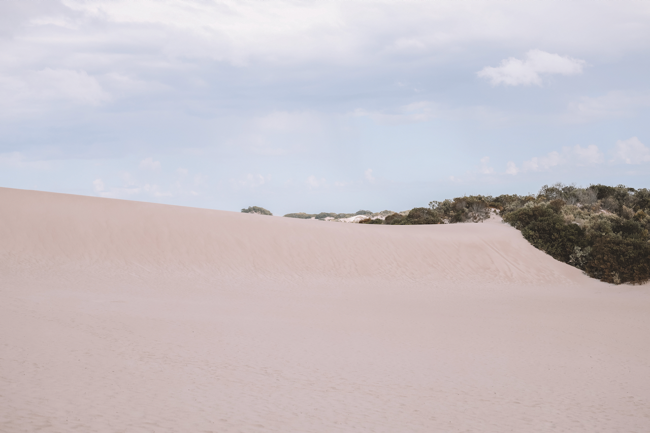Dune de sable Little Sahara - Kangaroo Island - South Australia (SA) - Australie