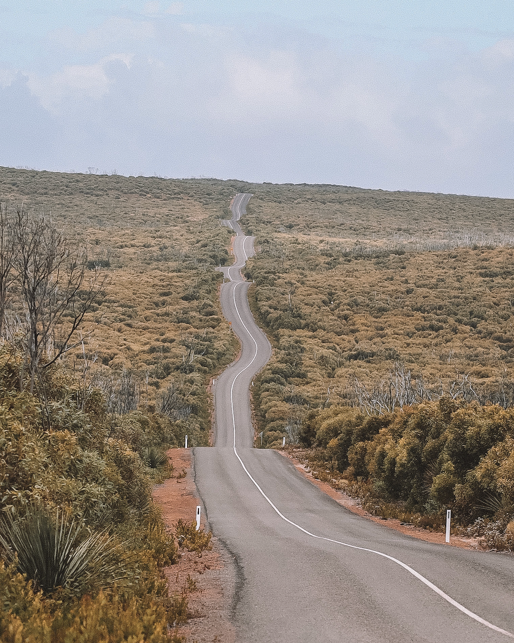 Route de Cape du Couedic dans le parc national de Flinders Chase - Kangaroo Island - South Australia (SA) - Australie