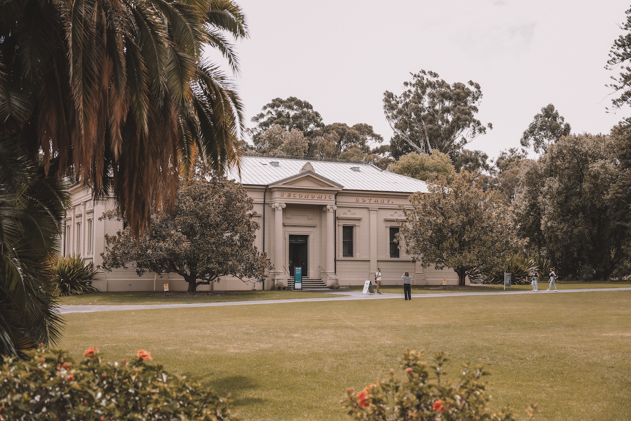 Museum of economic botany - Adélaïde - South Australia (SA) - Australie