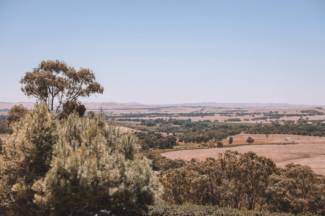 La vue sur la vallée chez Paulett Wines - Clare Valley - South Australia (SA) - Australie