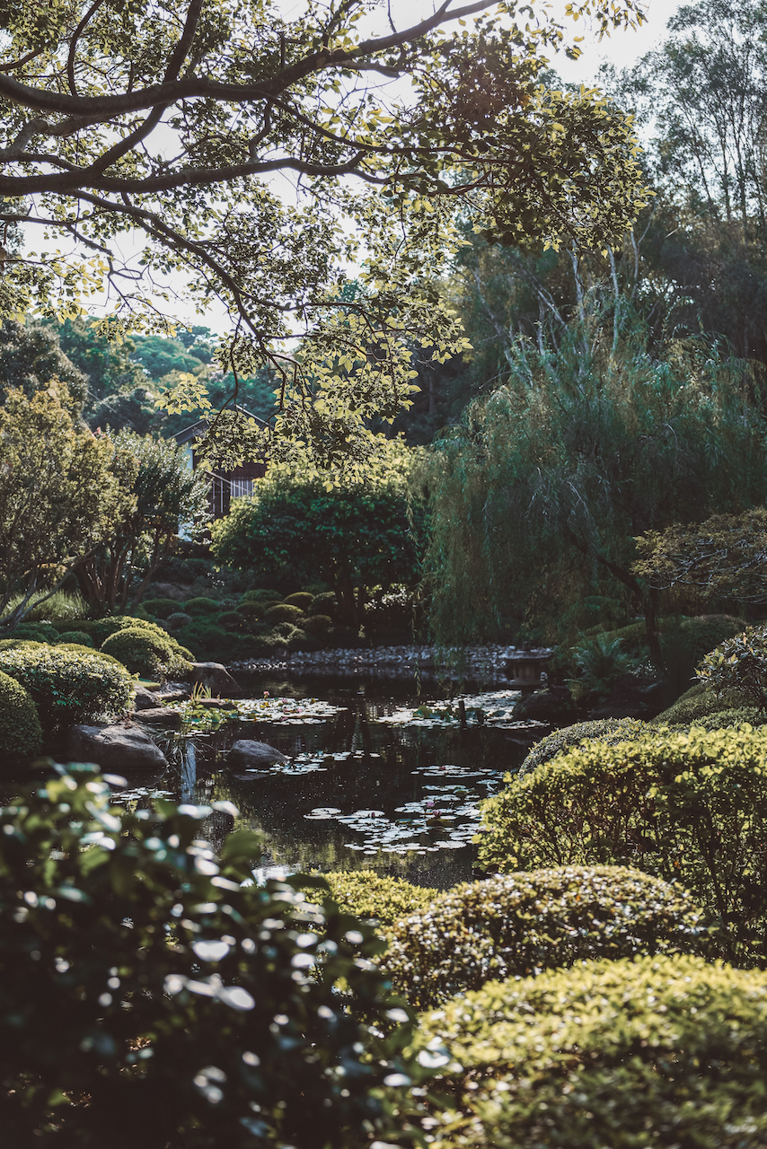 Japanese Garden on Mount Coot-Tha - Brisbane - Queensland - Australia