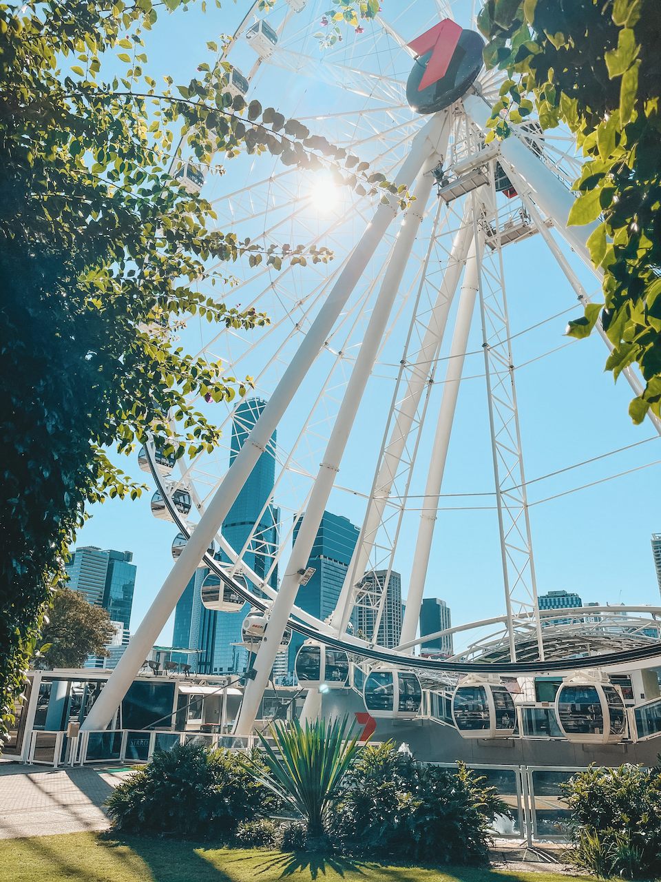 La grande roue de Brisbane - Brisbane - Queensland - Australie