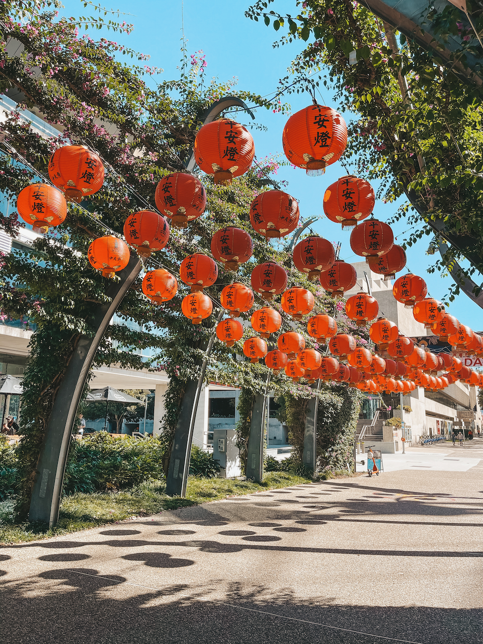 Les lanternes chinoises en papier de South Bank Parklands - Brisbane - Queensland - Australie