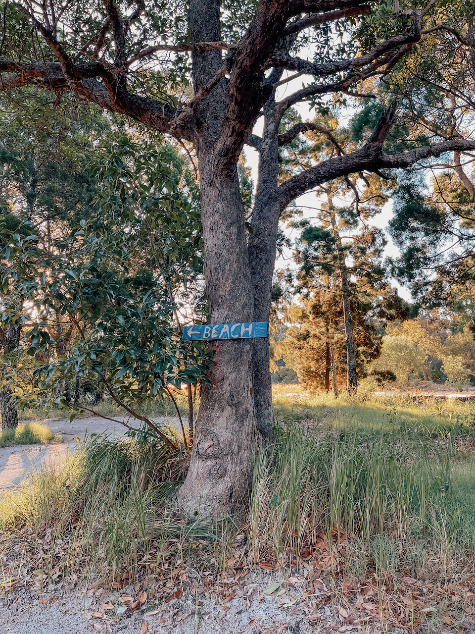 Panneau indiquant la plage - Île de Moreton - Queensland - Australie