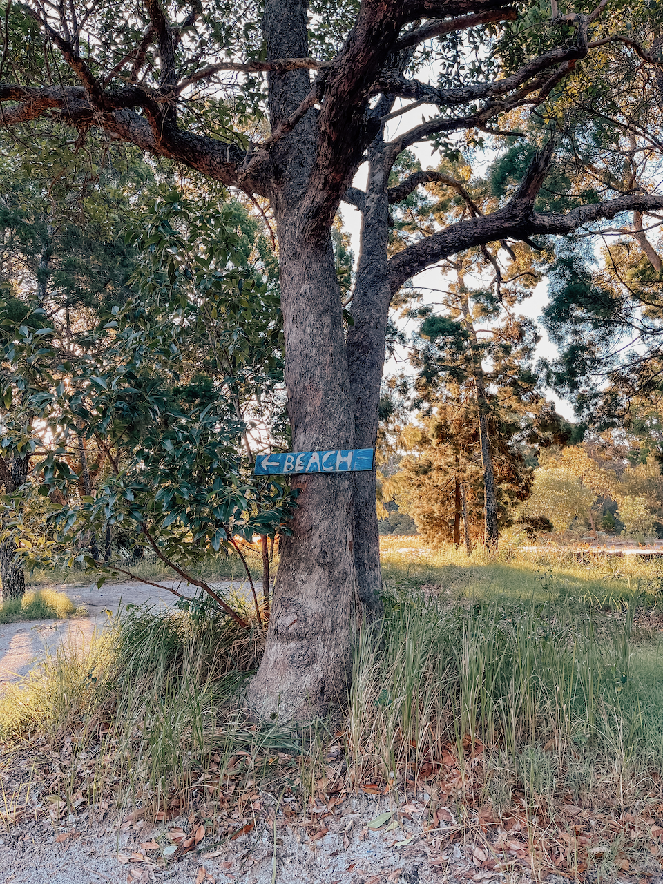 Beach Sign - Moreton Island - Queensland - Australia