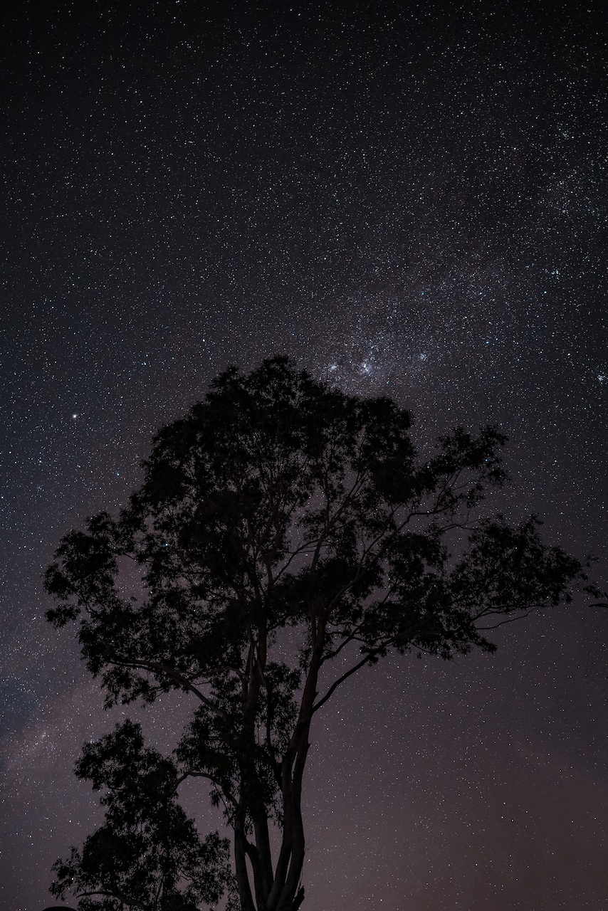Starry sky in Yandina - Noosa - Queensland - Australia