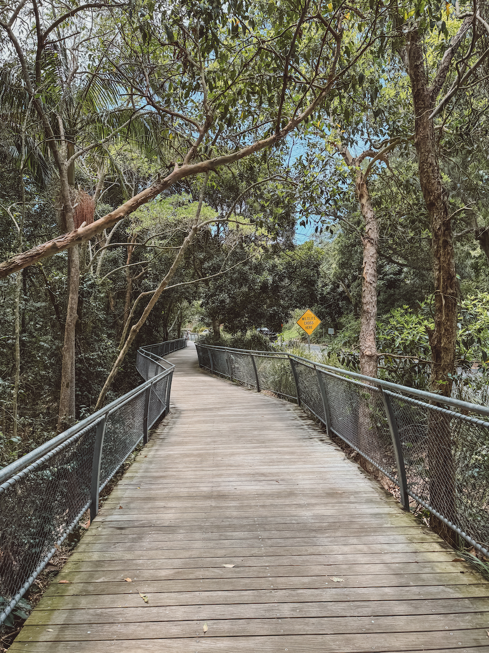 La passerelle piétonne sur le Cape Byron Walking Track - Byron Bay - New South Wales - Australie
