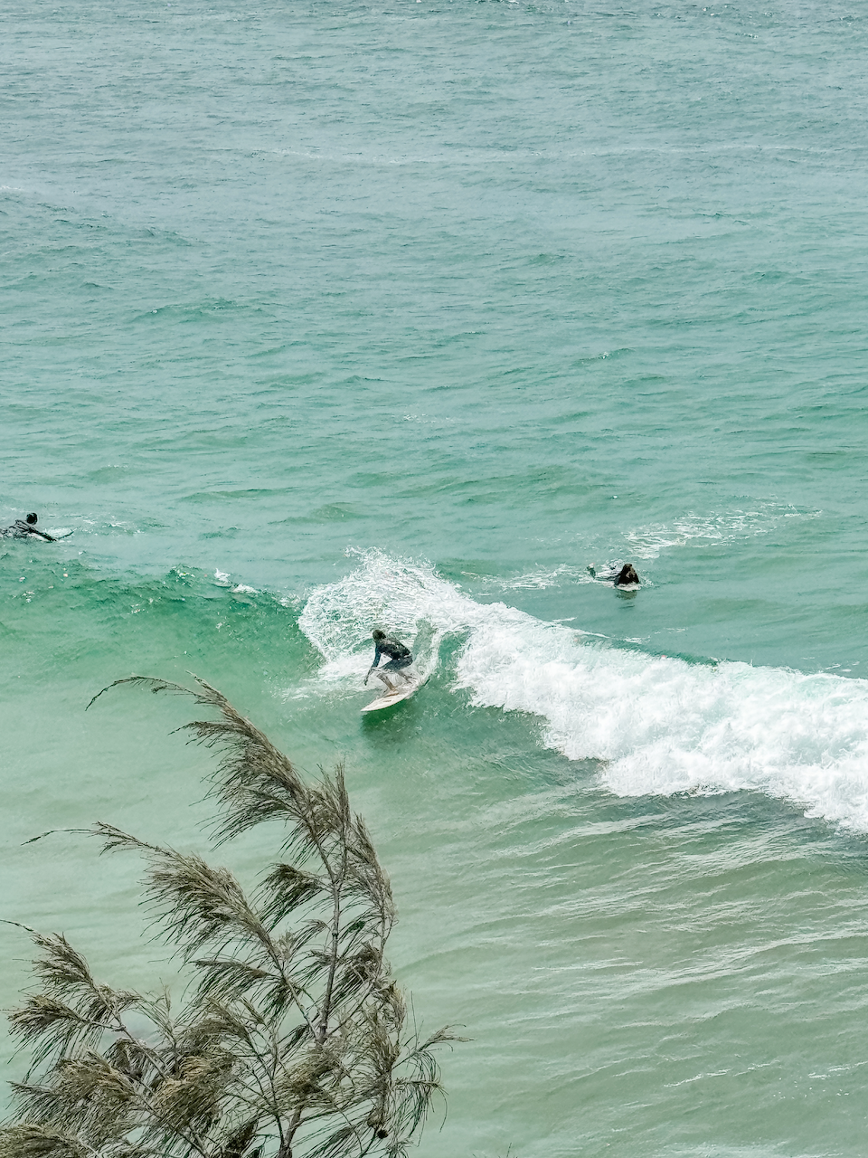 Un surfeur qui prend la vague - The Pass - Byron Bay - New South Wales - Australie