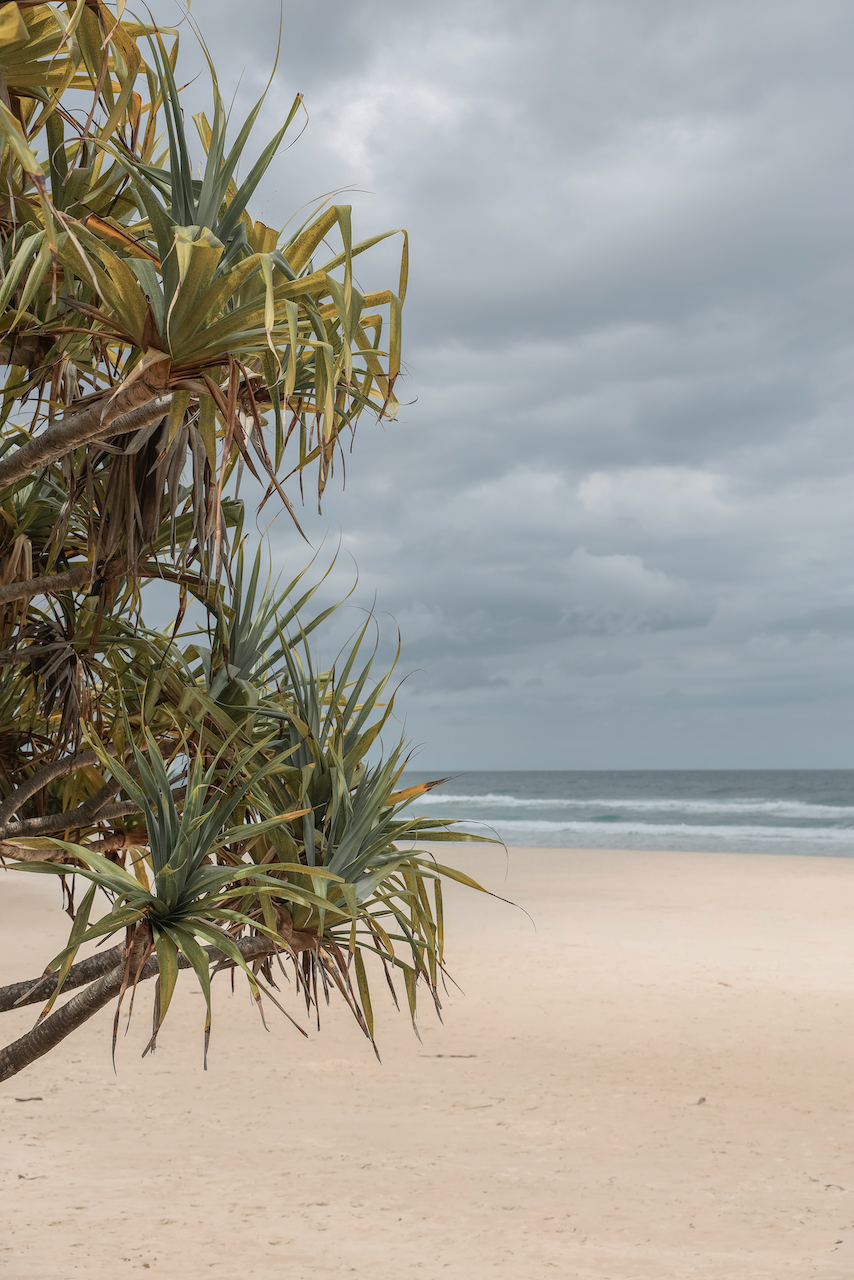 Beautiful beach in Ballina - Byron Bay - New South Wales - Australia