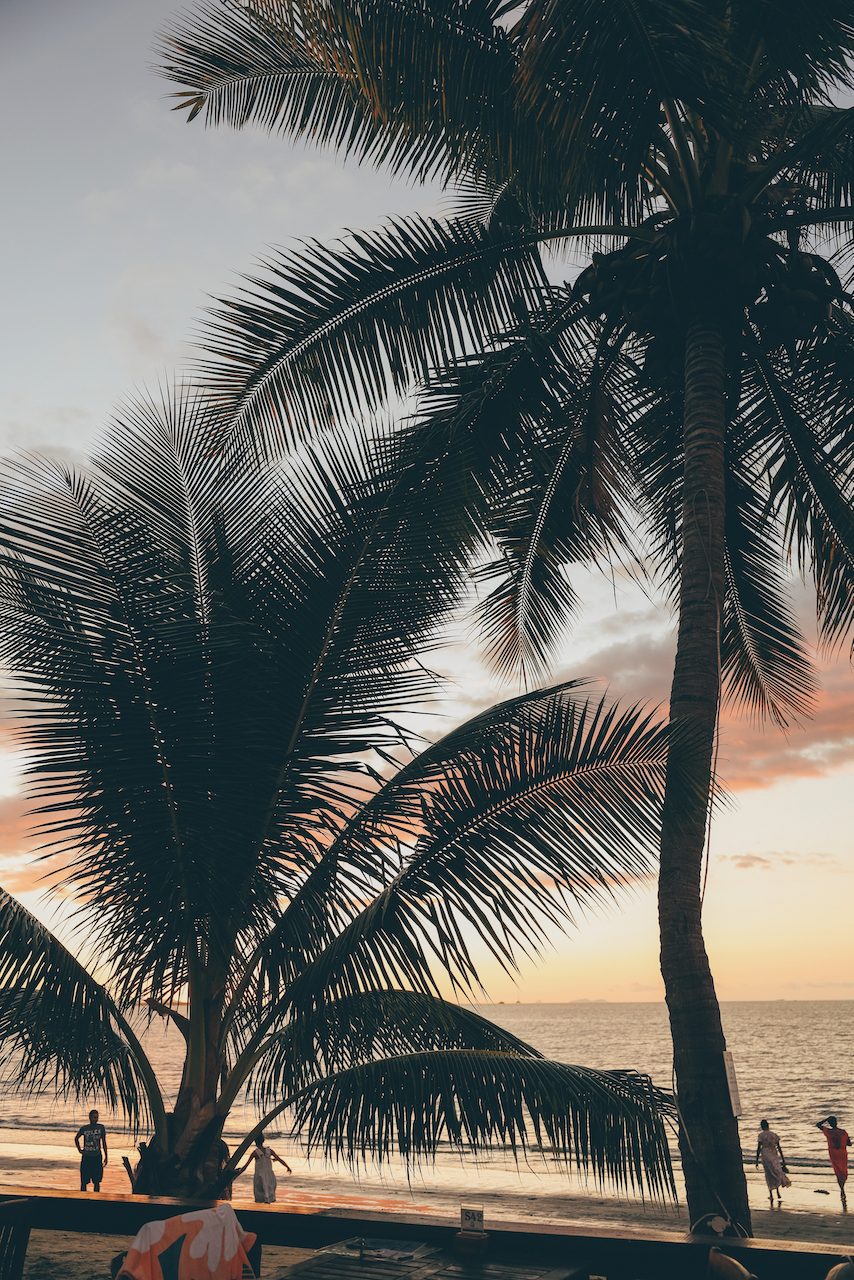 Palmiers et coucher de soleil à Wailoaloa Beach - Nadi - Viti Levu - Îles Fidji
