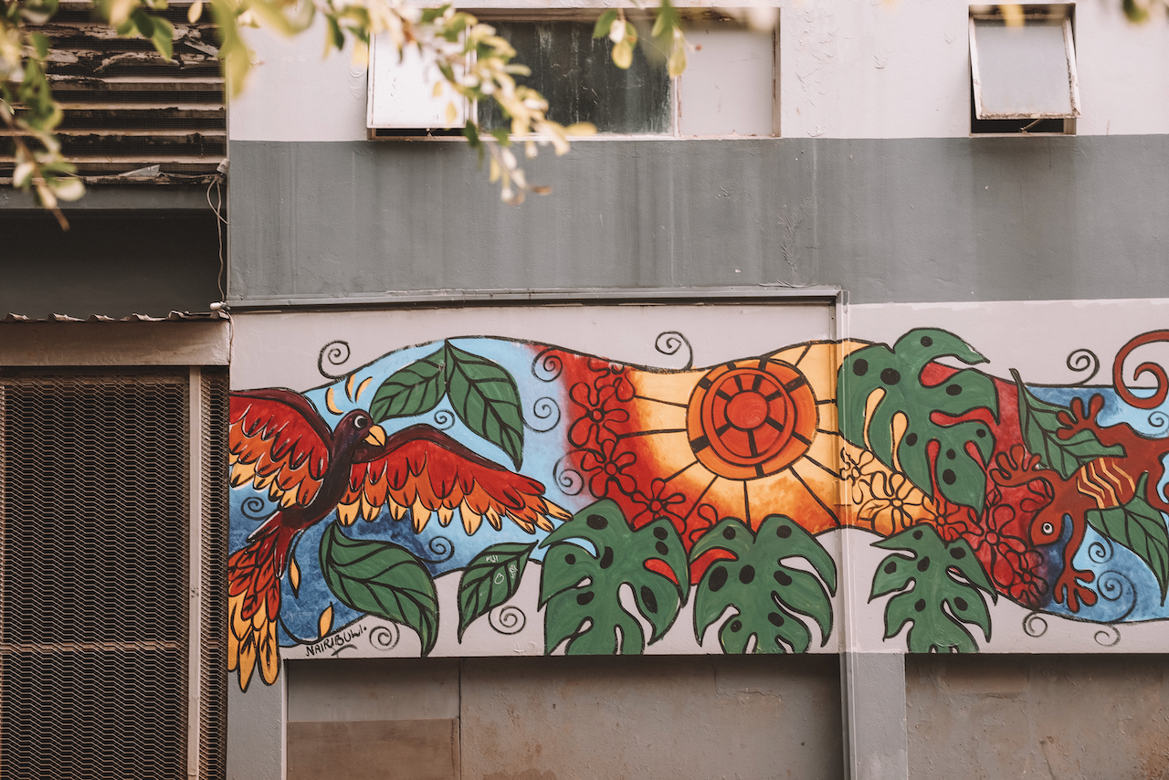 Parrot mural graffiti - Nadi - Viti Levu Island - Fiji