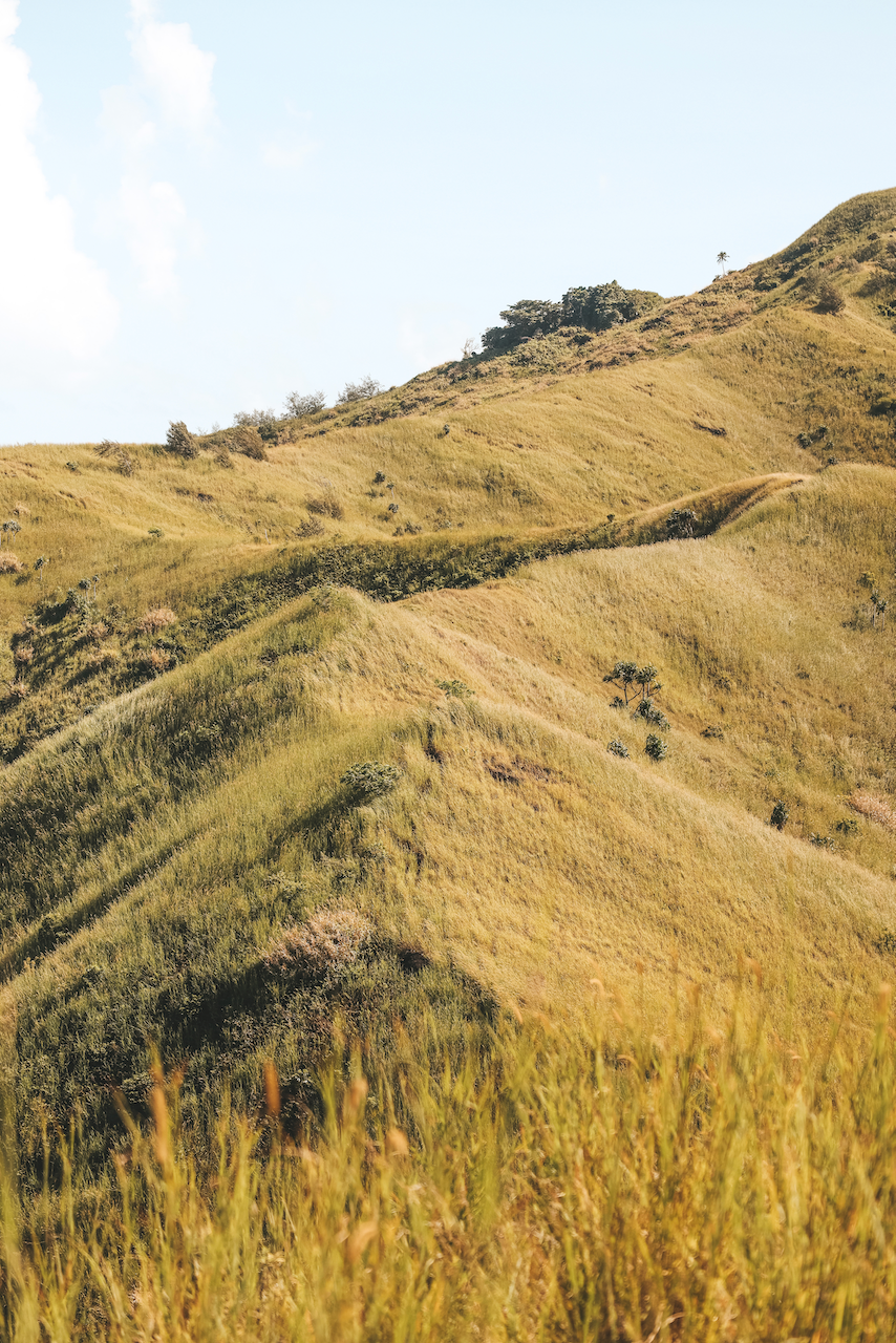 Hike to the top of the mountain - Blue Lagoon Beach Resort - Nacula Island - Yasawa Islands - Fiji