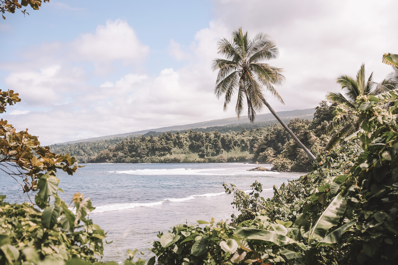 Palmier et carte postale de la côte - Lavena - Île de Taveuni - Îles Fidji