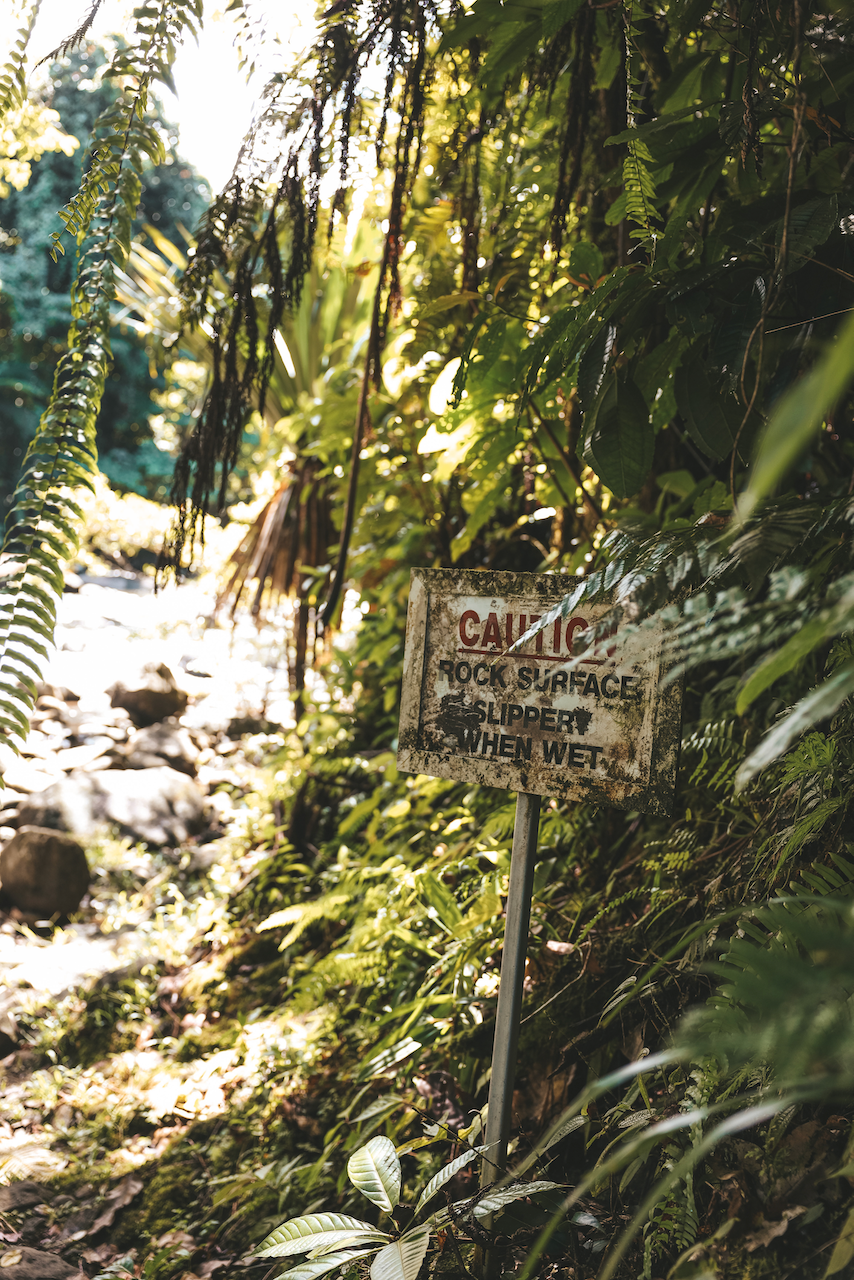 Caution sign with moss on Lavena Coastal Walk - Taveuni Island - Fiji