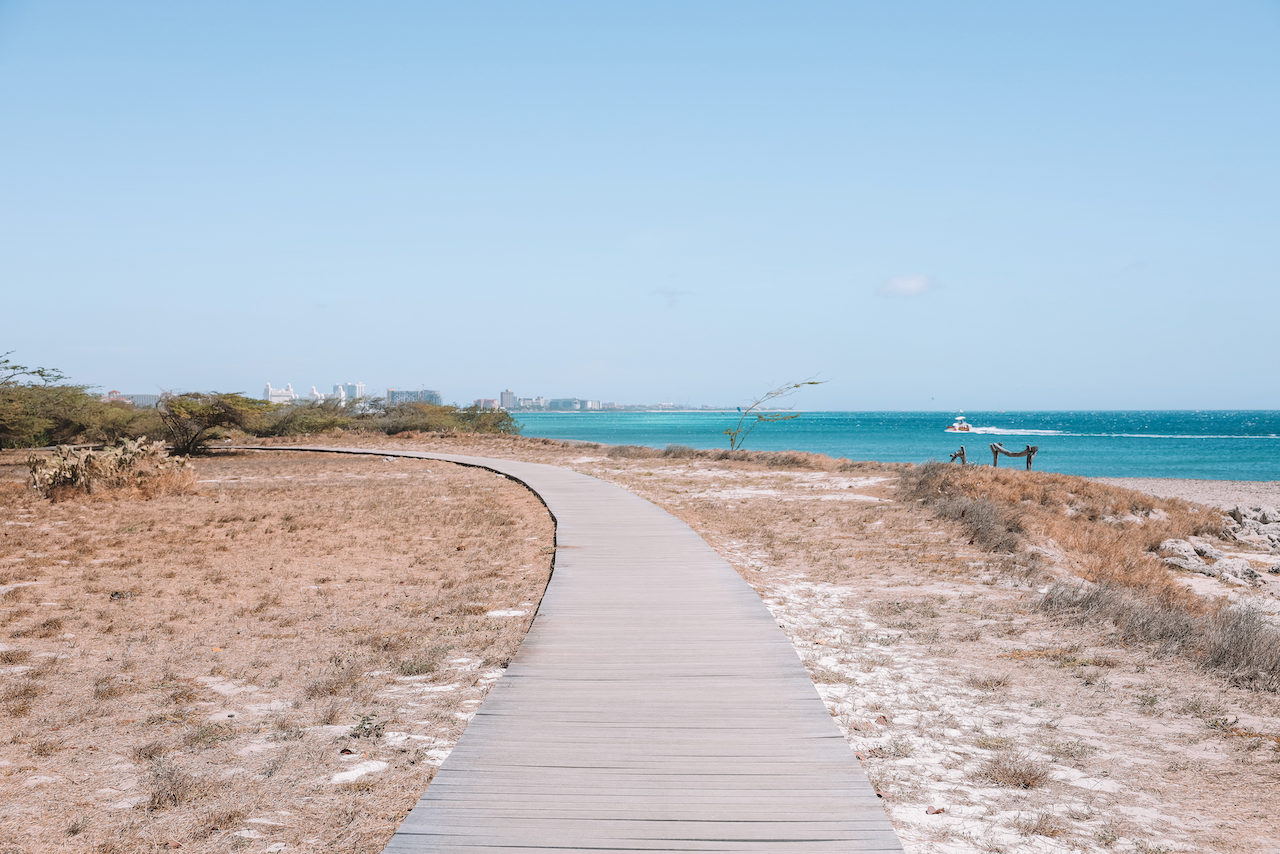 La promenade près de Malmok - Aruba - Îles ABC - Caraïbes