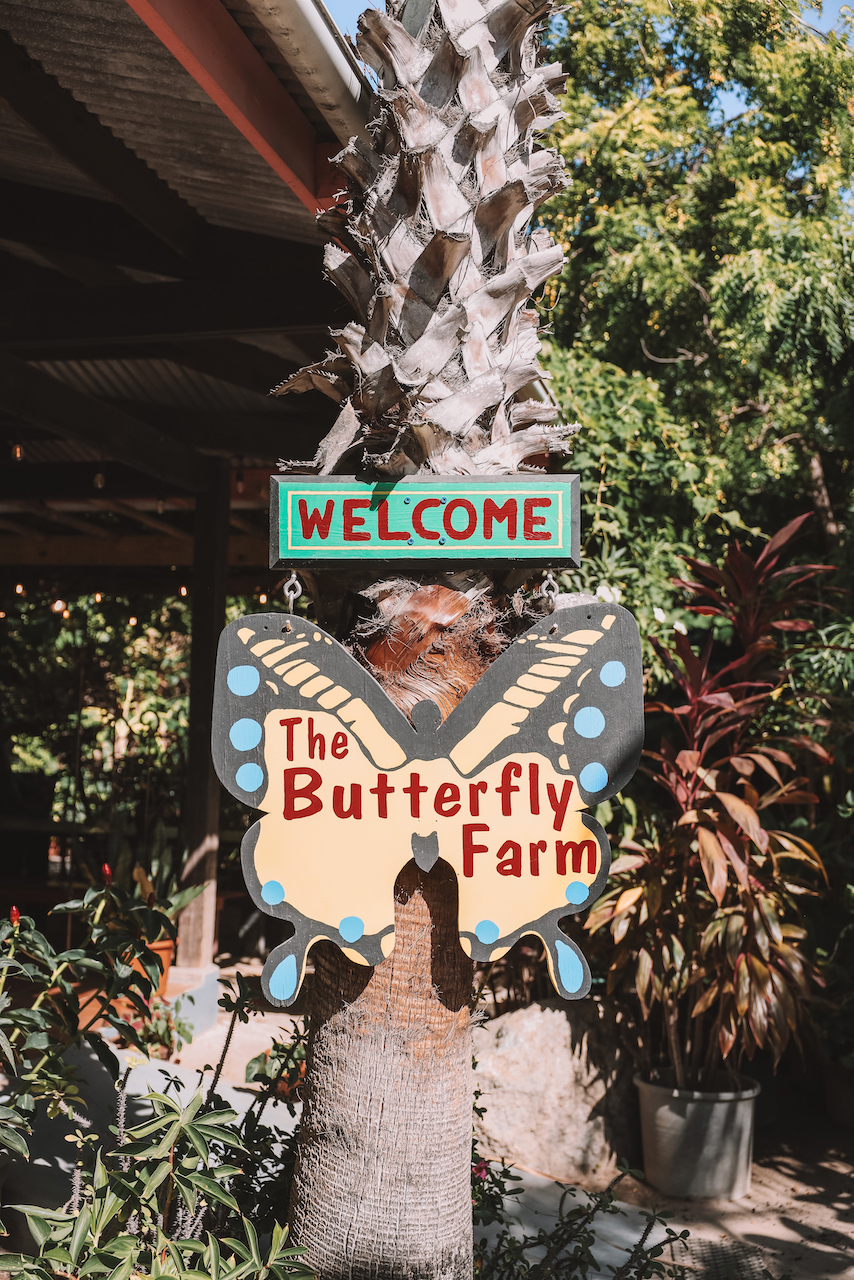 The Butterfly Farm - Butterfly-shaped entry sign - Aruba - ABC Islands