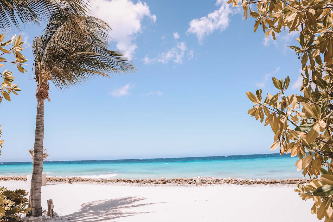 Carte postale de la plage du Renaissance Island Resort - Aruba - Îles ABC - Caraïbes