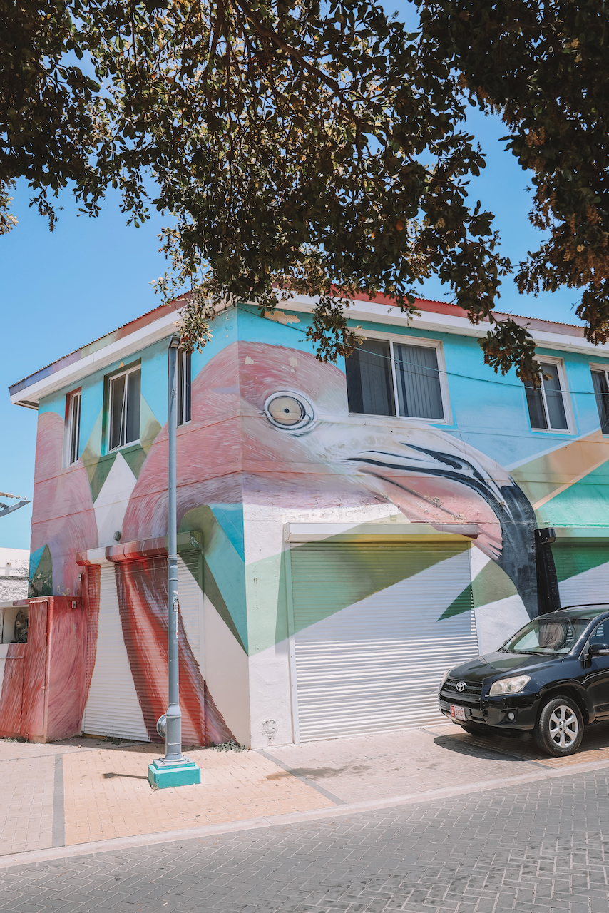 Flamingo graffiti in San Nicolas - Aruba - ABC Islands